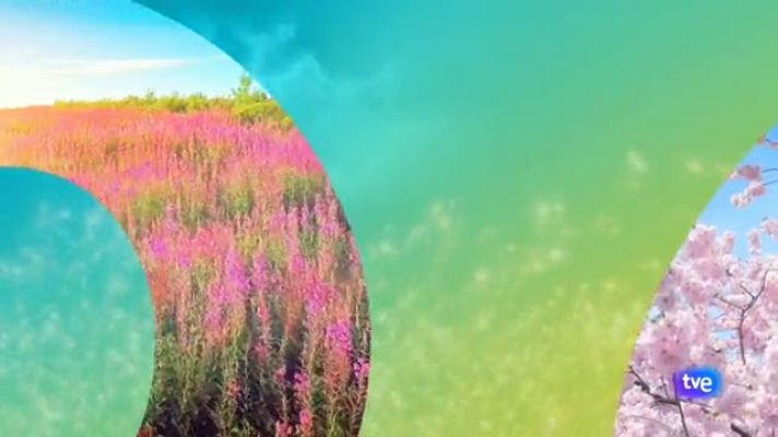 Telexornal - Galicia - El tiempo en Galicia - 29/04/19