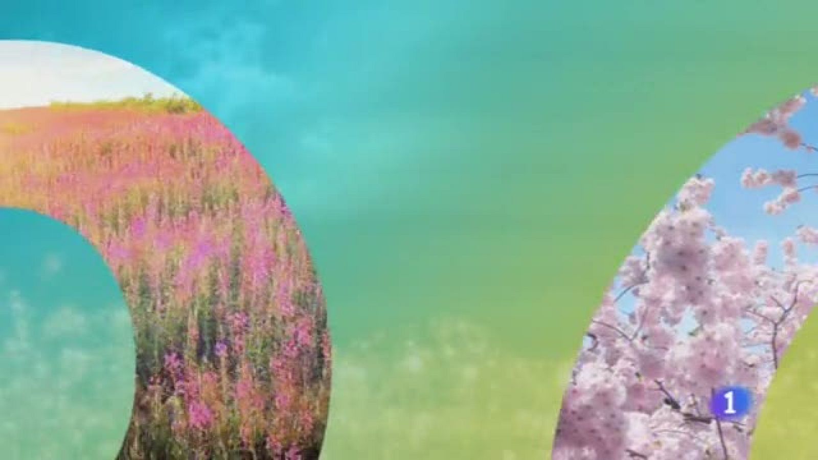 El Tiempo en Castila-La Mancha - 29/04/19 | Ver