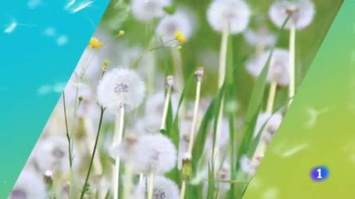 TeleCantabria - El tiempo en Cantabria - 29/04/19