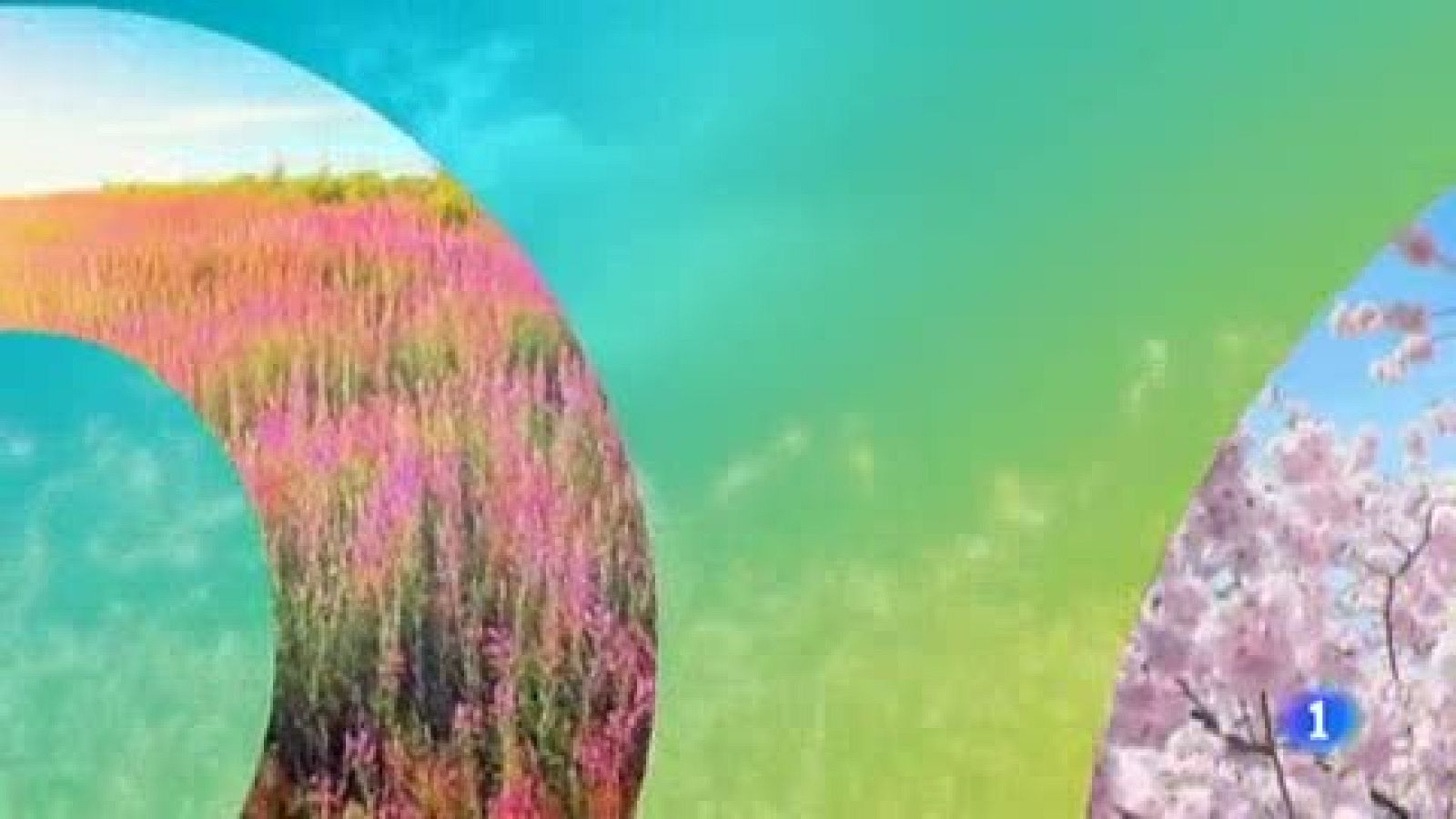 País Vasco en 2' - 29/04/19