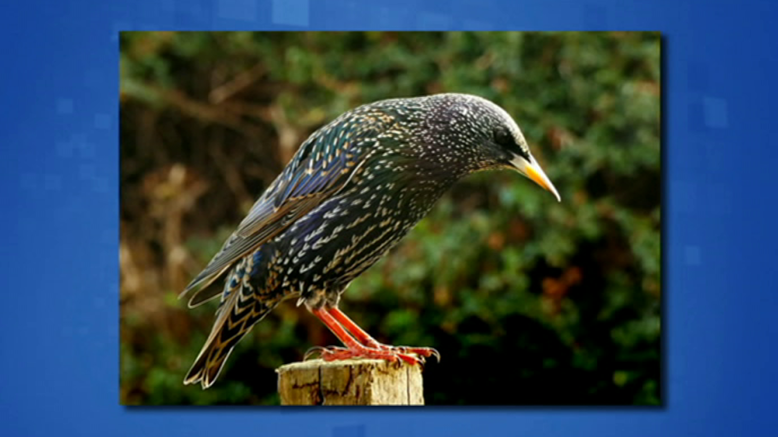 Saber y ganar - 29/04/19 - ver ahora