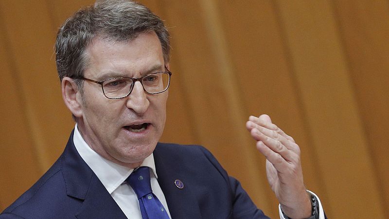 Feijo reclama "ensanchar" el PP abrindose a ms sensibilidades para recuperarse de los resultados en las generales