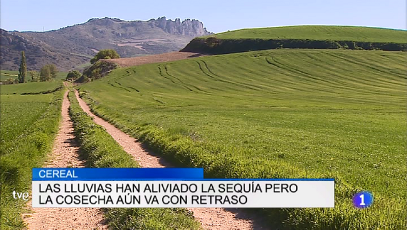 Informativo Telerioja 2 - 30/04/19