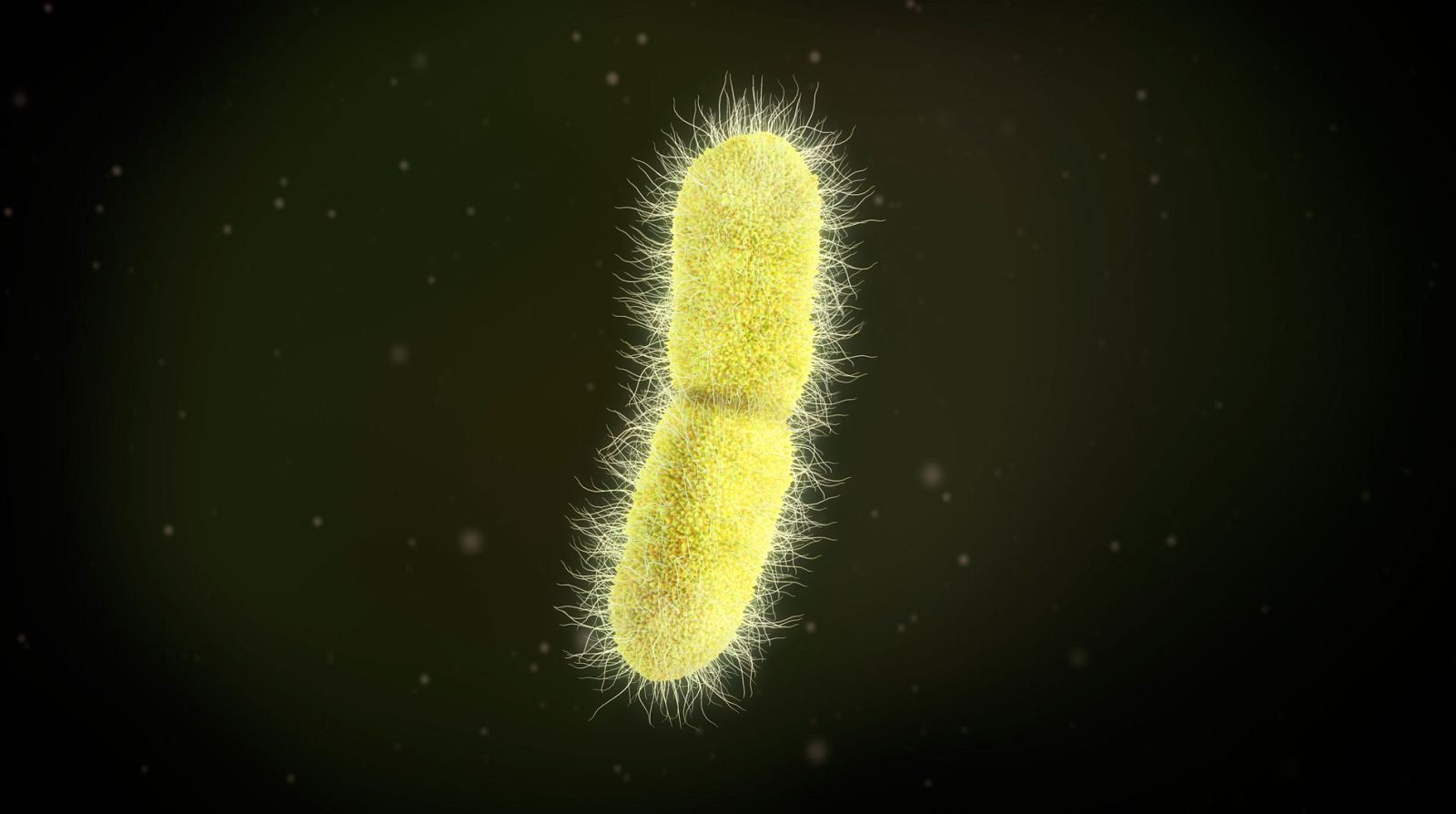 El problema de la resistencia a los antibióticos, particularmente alarmante en España