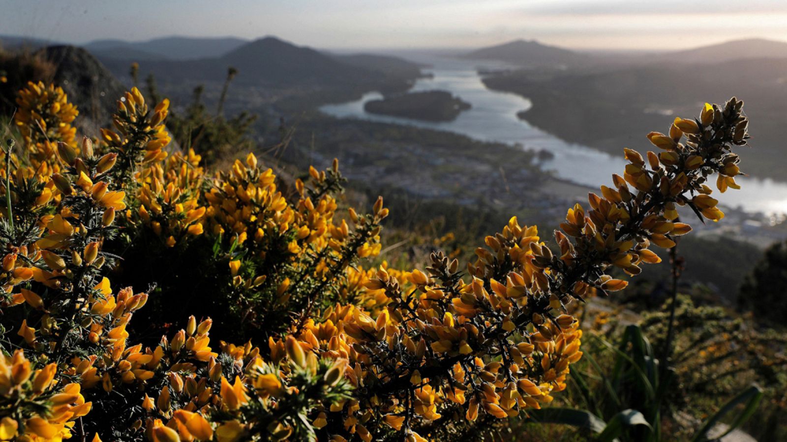 Intervalos de viento fuerte del norte en Galicia y del noreste en Canarias