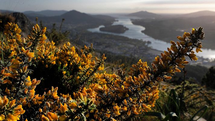 El tiempo - Intervalos de viento fuerte del norte en Galicia y del noreste en Canarias