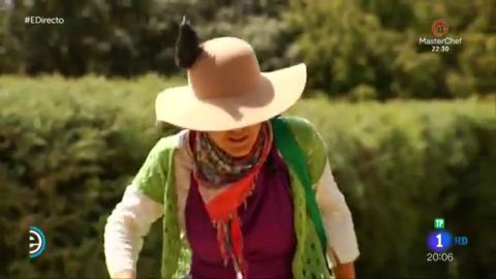 Casas en árboles - España Directo | Ver