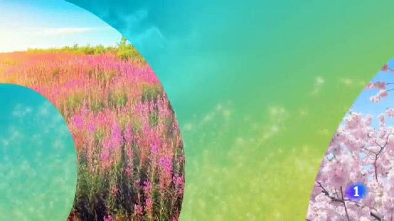 El tiempo - 03/05/2019 | Ver