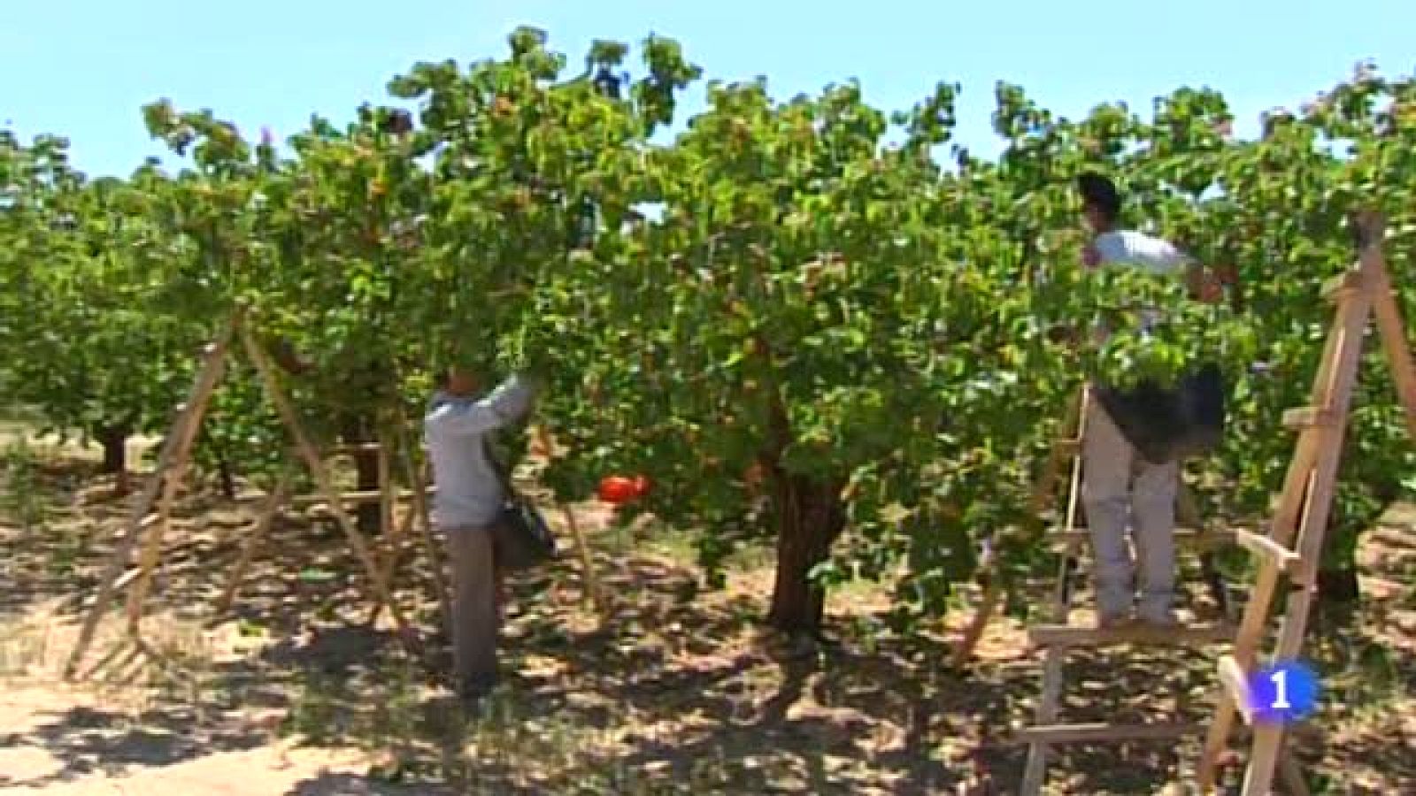 Noticias Aragón - 03/05/2019 | Ver