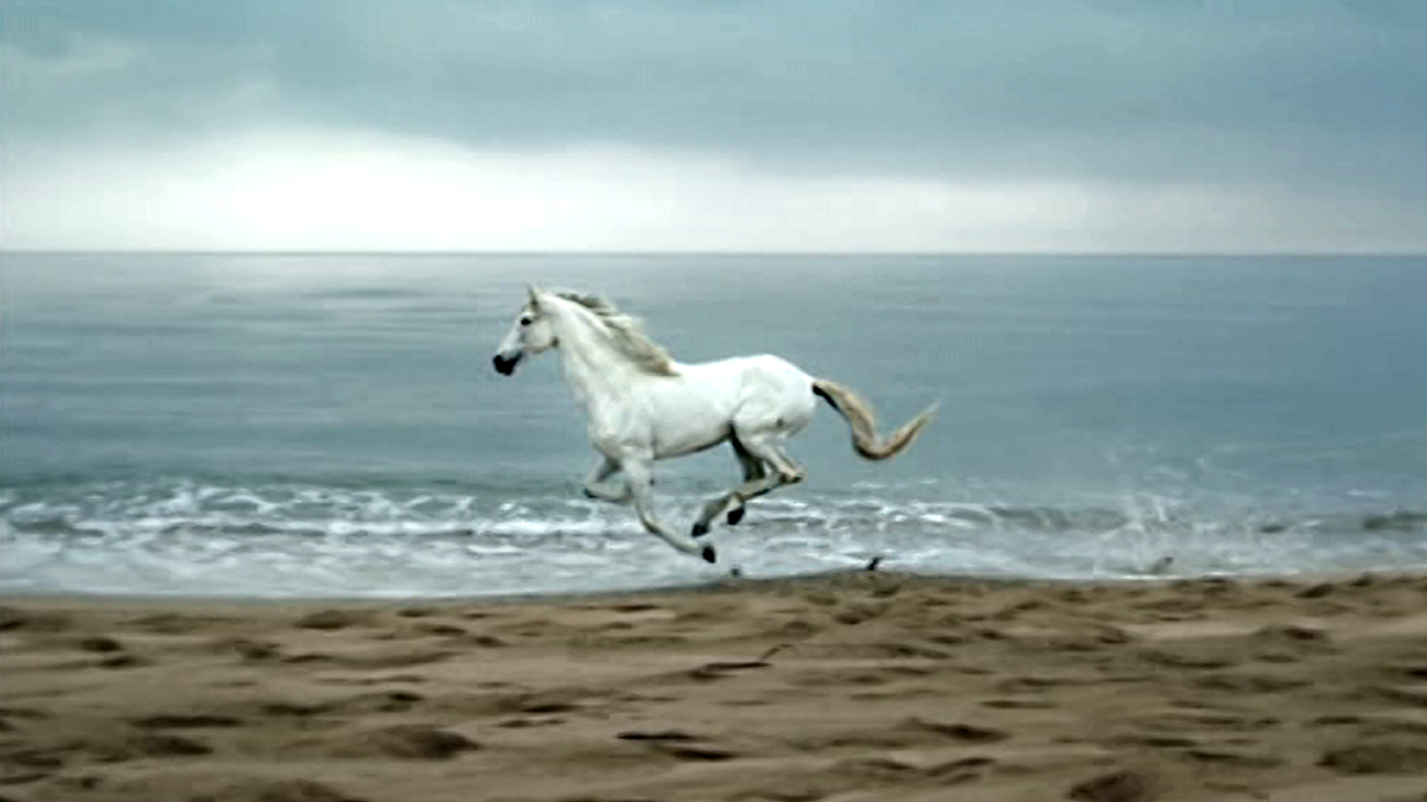 Corazón - 03/05/19 - ver ahora