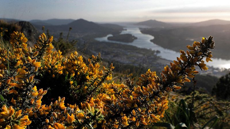 Cielos poco nubosos o despejados en todo el país