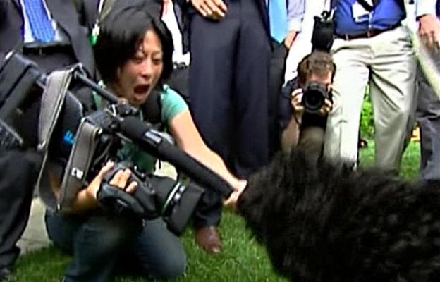  - Bo, el amigo de los periodistas