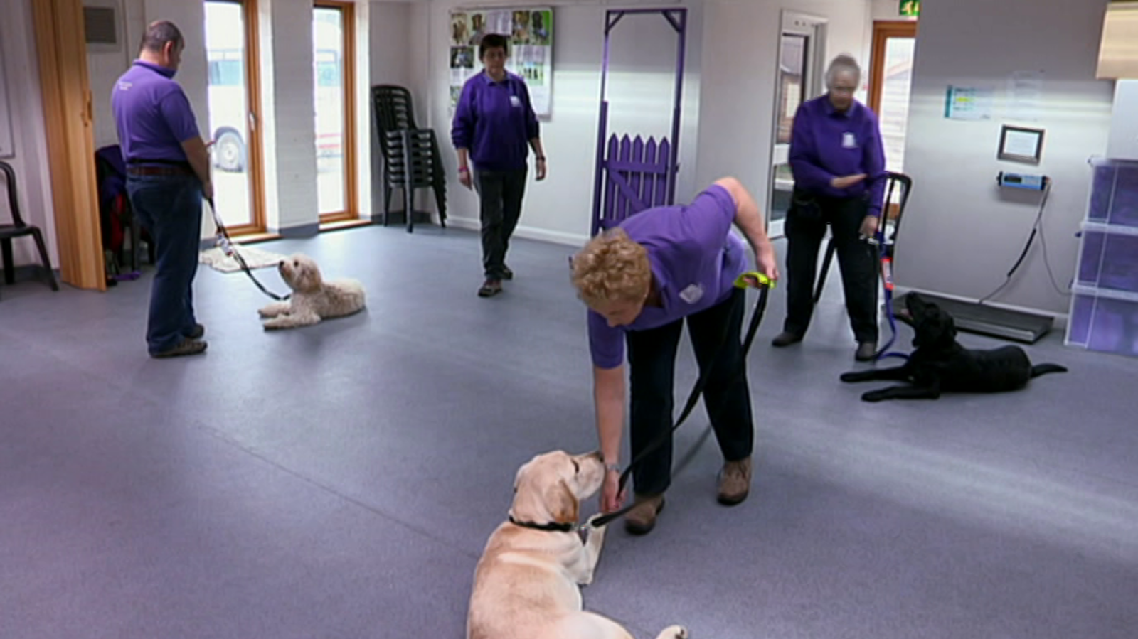 That's English - Module 9 - Unit 4B: Gestures can speak louder than words - ver ahora