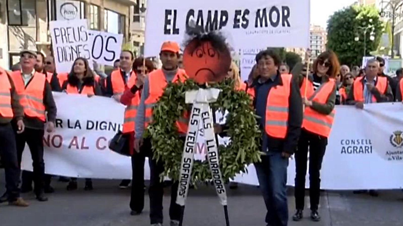 Repor - Cítricos cítricos - ver ahora