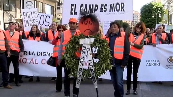 Repor - Cítricos cítricos