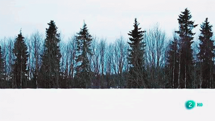 La aventura del Saber - LaBolsa: Gallego de Prada