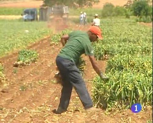 Noticias de Castilla-La Mancha - Noticias de Castilla-La Mancha - 03/06/09