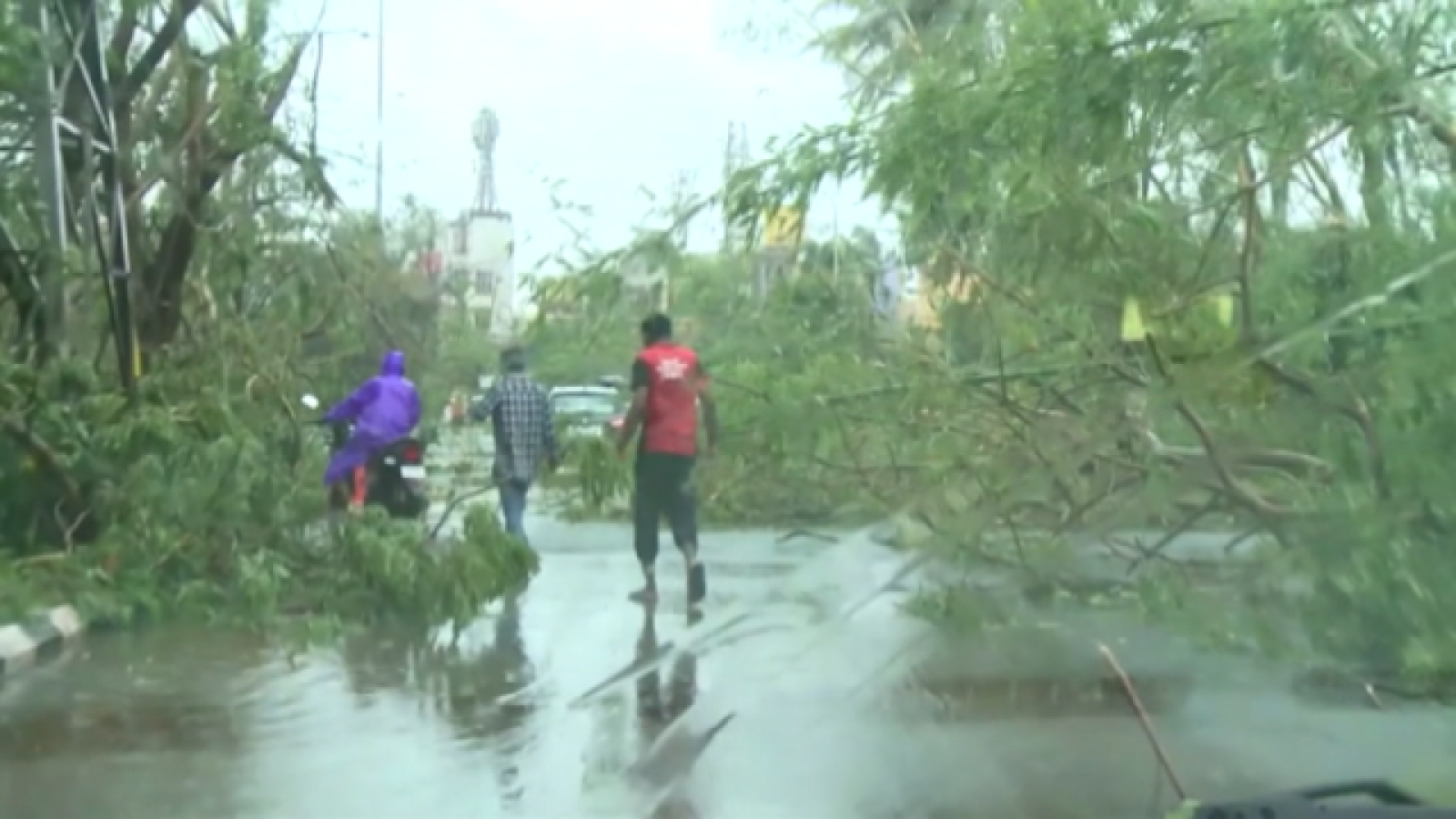 Teleplaneta - 06/05/2019 - Teleplaneta | Ver