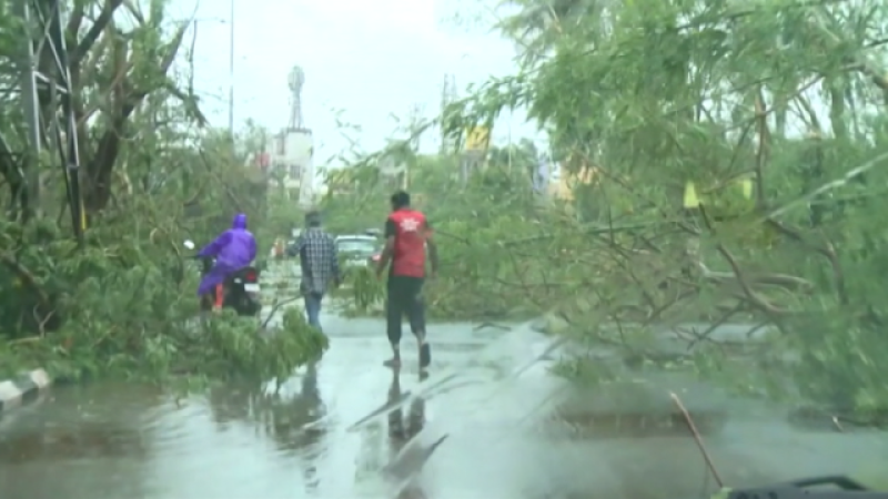 Teleplaneta - 06/05/2019 - Teleplaneta | Ver