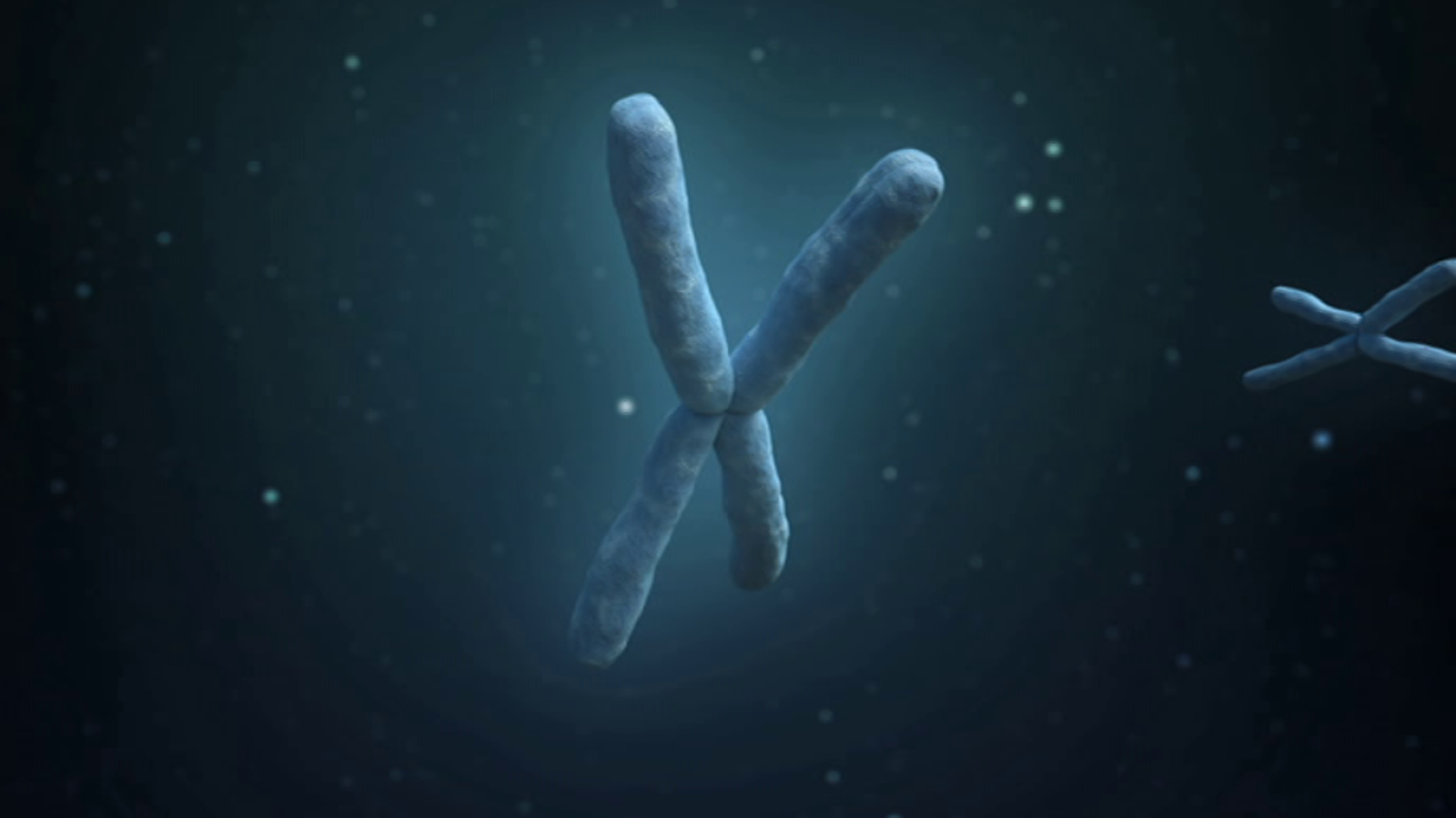 Otros documentales - La gente más extraordinaria del mundo: Historia de la vida - ver ahora