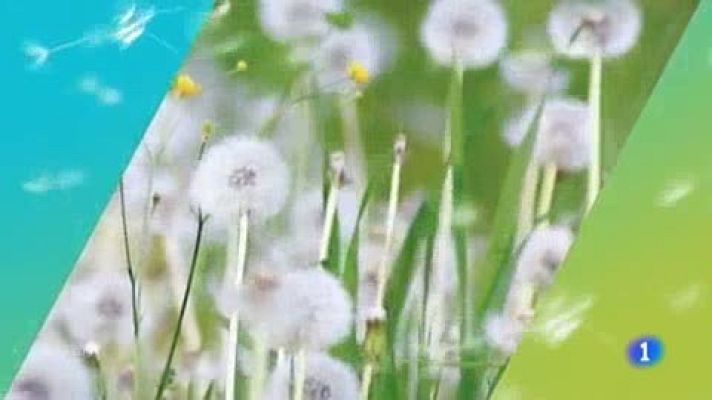 Telenorte - País Vasco - El tiempo en el País Vasco - 06/05/19