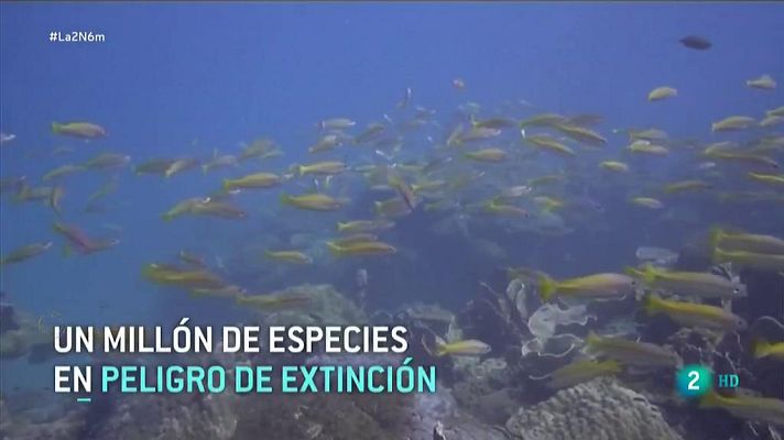 La 2 Noticias - Primer informe de Naciones Unidas sobre biodiversidad