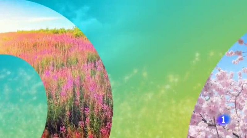 El tiempo - 07/05/2019 | Ver