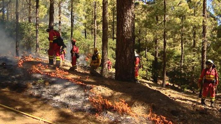 Telecanarias - Canarias en 2' - 07/05/2019