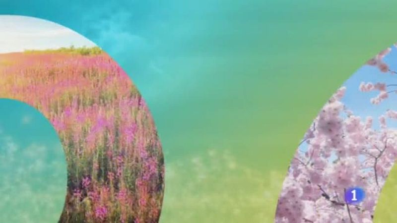 El Tiempo en Castilla-La Mancha - 08/05/19 | Ver