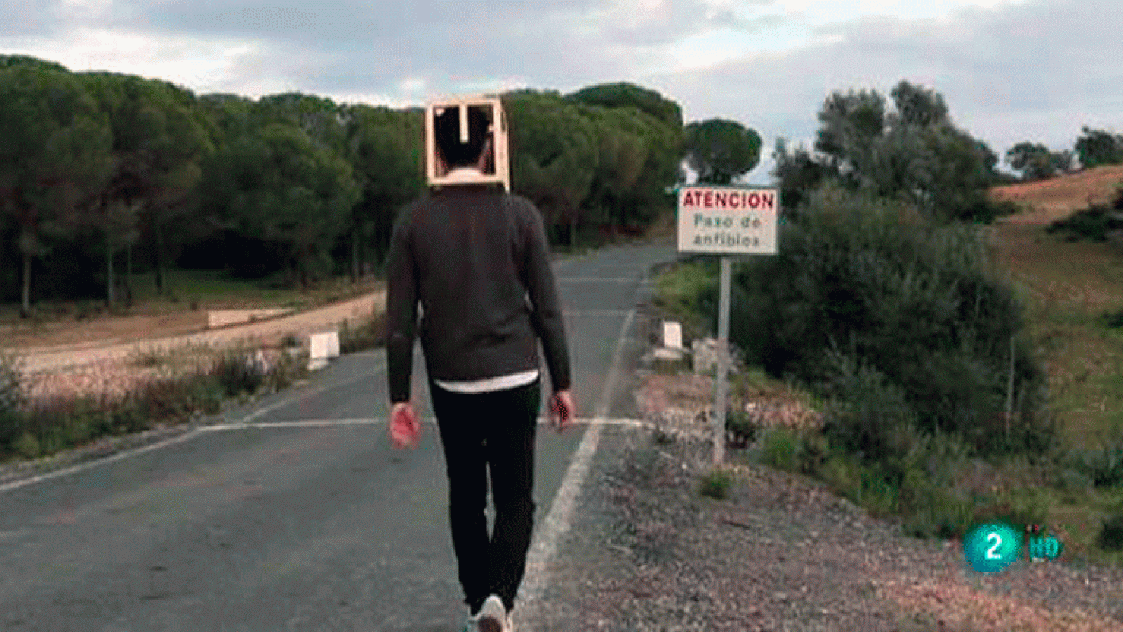 La aventura del saber. Boek visual: Arturo Comas