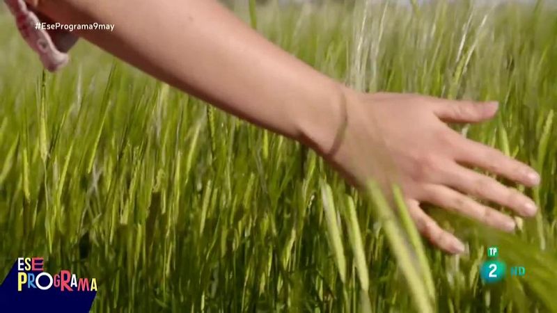 Ese programa - Folios Garc�a