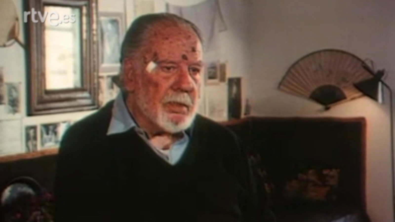 Ramón Gaya, pájaro solitario