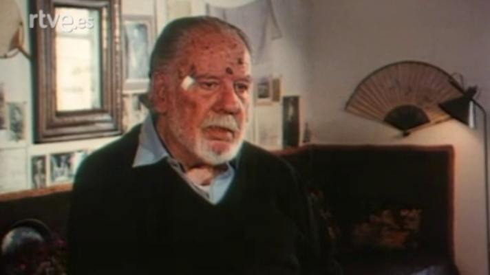 Documentales en el Archivo de RTVE - Ramón Gaya, pájaro solitario