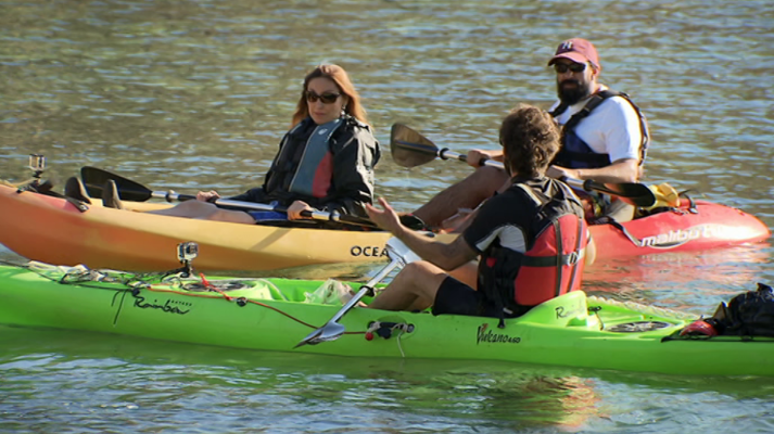 El escarabajo verde - Plásticoceno
