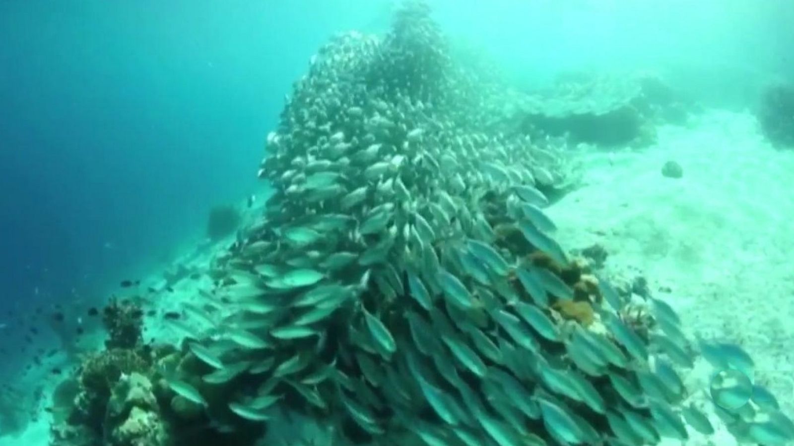 Agrosfera - 11/05/19 - ver ahora