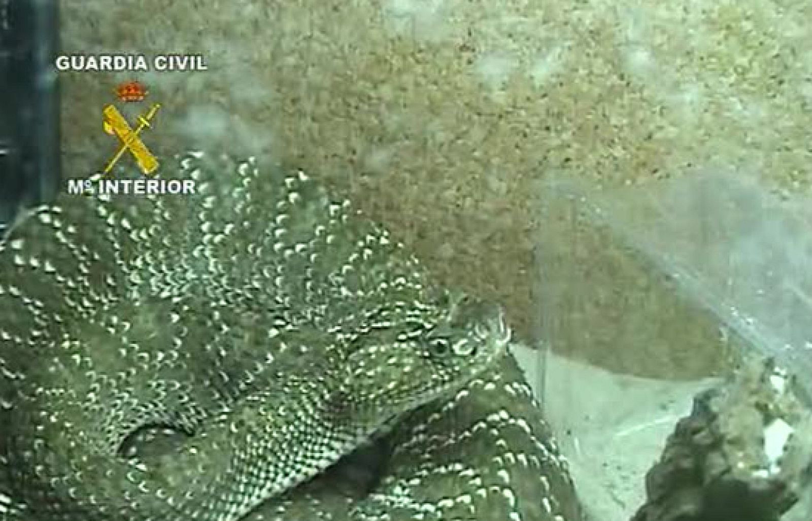 Informativo de Madrid. (05/06/09)