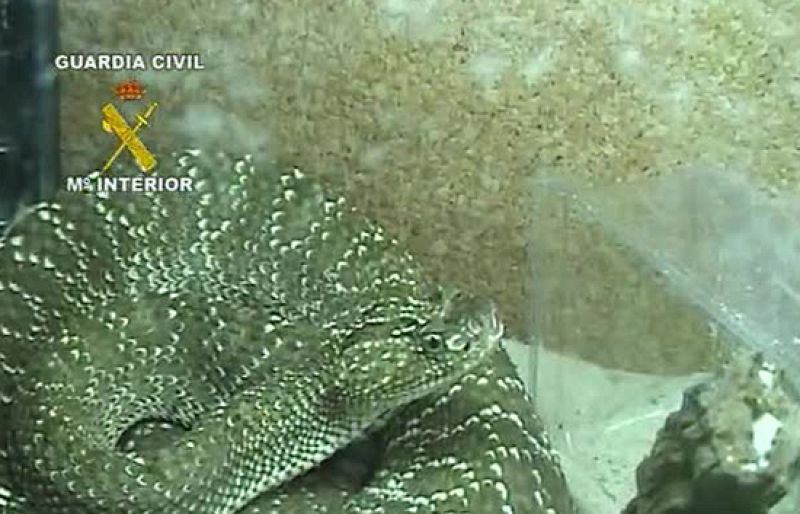 Informativo de Madrid. (05/06/09)