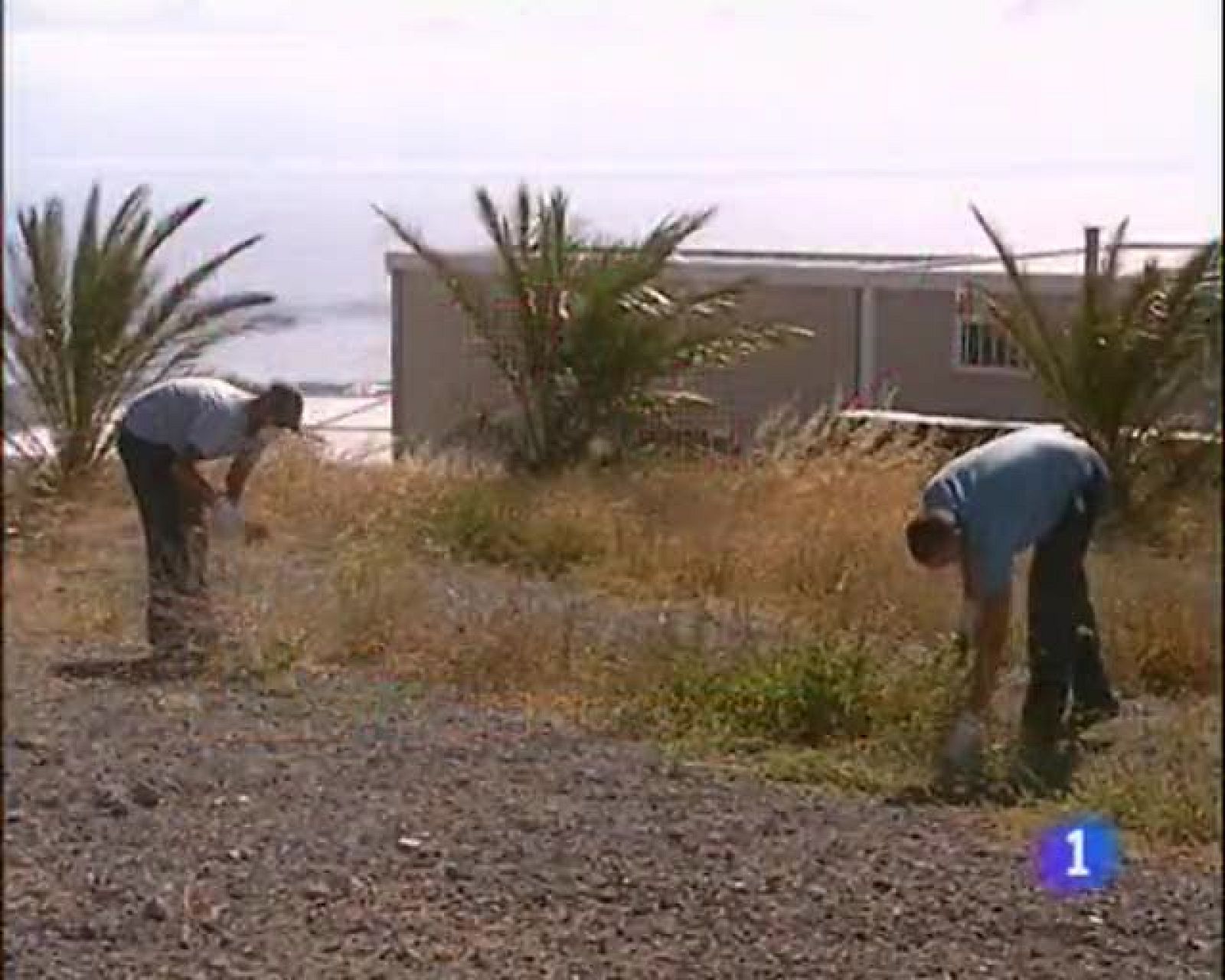 Telecanarias. Informativo de Canarias -  05/06/2009