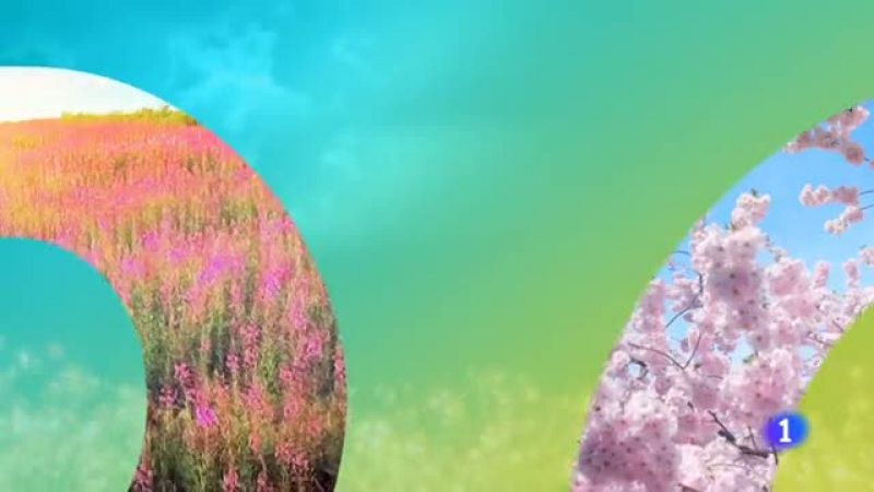 El tiempo en Galicia - 13/05/19