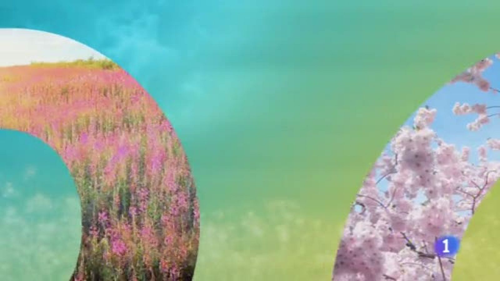 El Tiempo en Castilla-La Mancha - 13/05/19 | Ver