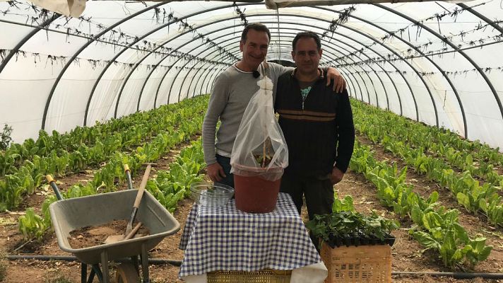 Aquí la Tierra - Plantamos la ensalada