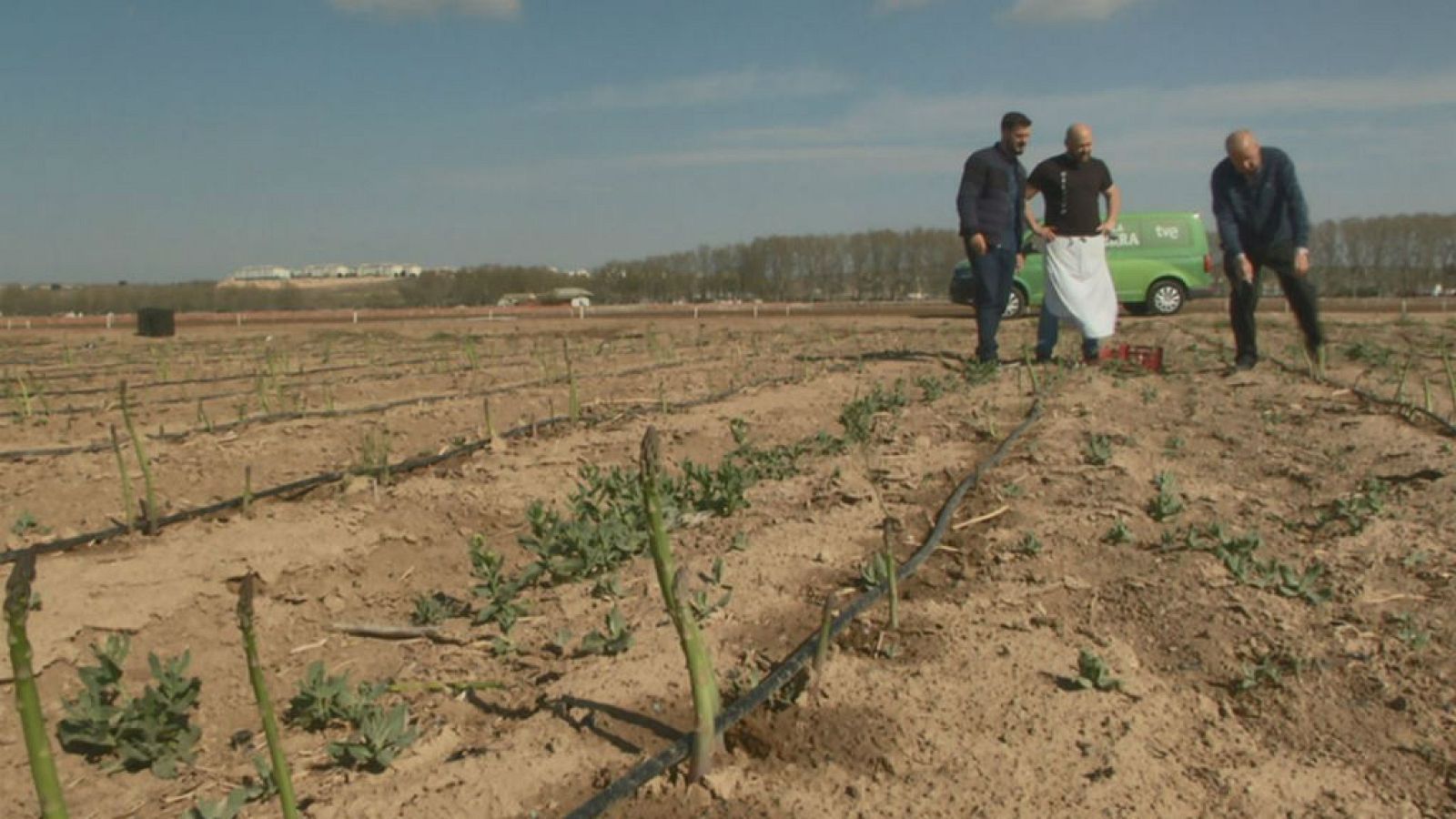El pastel de espárragos de Aranjuez