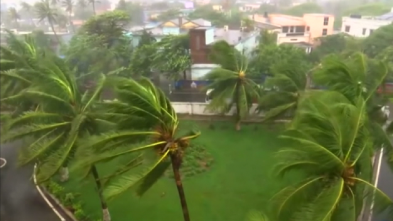 Teleplaneta - 13/05/2019 - Teleplaneta | Ver