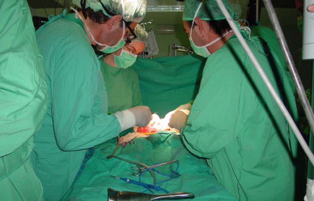  - España, líder mundial en transplantes