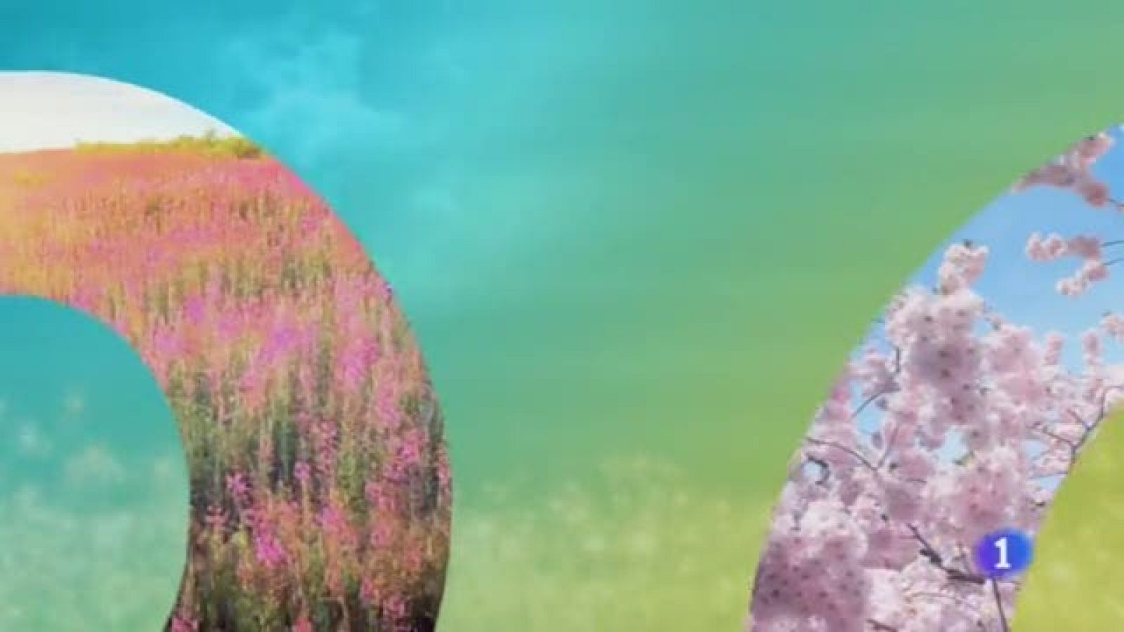 El Tiempo en Castilla-La Mancha - 14/05/19 | Ver