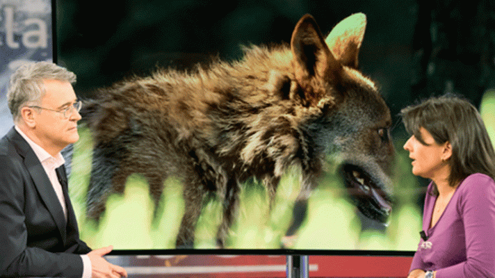 La aventura del Saber - La situación de lobo, con Yolanda Cortés de WWF