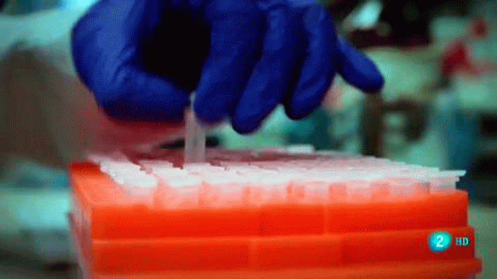 La aventura del Saber - Noticiero Científico y Cultural Iberoamericano (NCC)