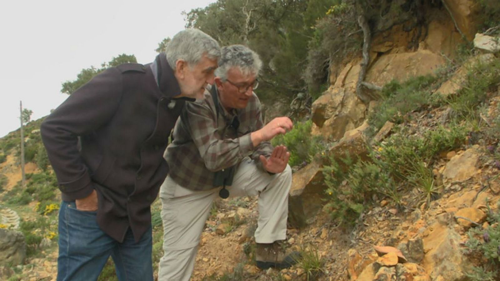 Iturriaga nos lleva a un alcornocal mágico