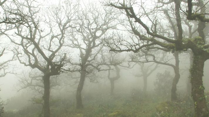 Aquí la Tierra - Aquí la Tierra - 14/05/19