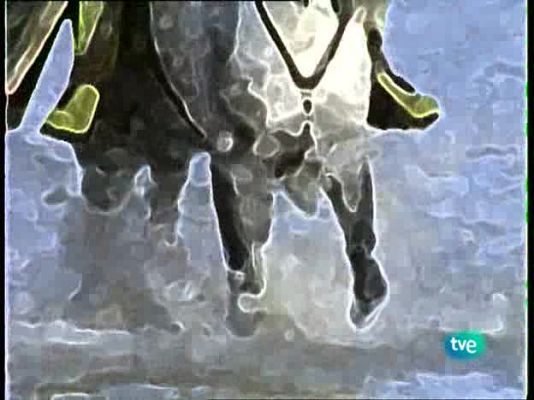 Unidad de naturaleza - Castas del Llano y la marisma